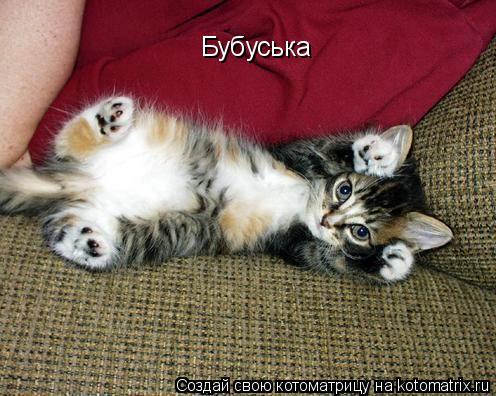 Котоматрица: Бубуська