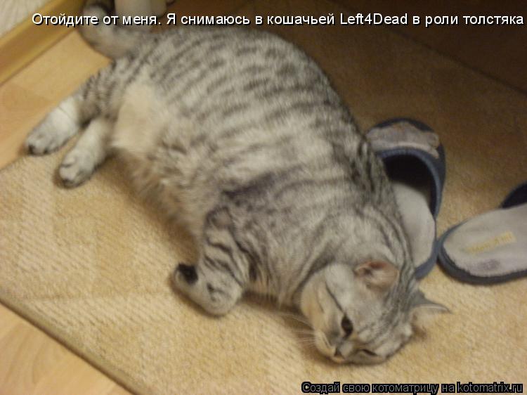 Котоматрица: Отойдите от меня. Я снимаюсь в кошачьей Left4Dead в роли толстяка