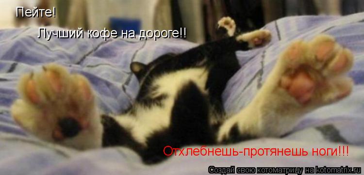 Котоматрица: Пейте! Лучший кофе на дороге!! Отхлебнешь-протянешь ноги!!!