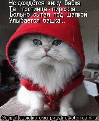 Котоматрица: Не дождётся  вижу  бабка  Та    гостинца - пирожка... Больно  сытая  под  шапкой    Улыбается  башка...