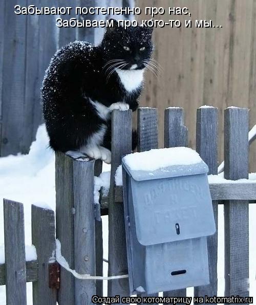 Котоматрица: Забывают постепенно про нас, Забываем про кого-то и мы...