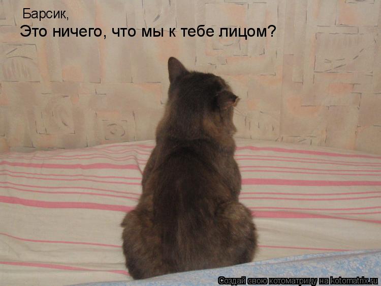 Котоматрица: Барсик, Это ничего, что мы к тебе лицом?