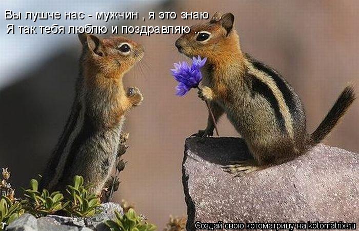 Котоматрица: Вы лушче нас - мужчин , я это знаю ... Я так тебя люблю и поздравляю ...