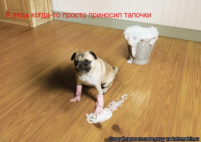 Котоматрица: А ведь когда-то просто приносил тапочки