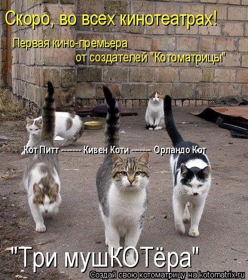 Котоматрица: Скоро, во всех кинотеатрах!  Первая кино-премьера  от создателей "Котоматрицы" "Три мушКОТёра" Кот Питт ------- Кивен Коти ------- Орландо Кот