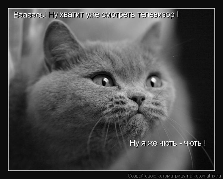 Котоматрица: Ваааась!  Ну хватит уже смотреть телевизор !  Ну я же чють - чють !