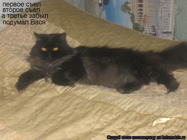 Котоматрица: первое съел  второе съел а третье забыл  подумал Вася