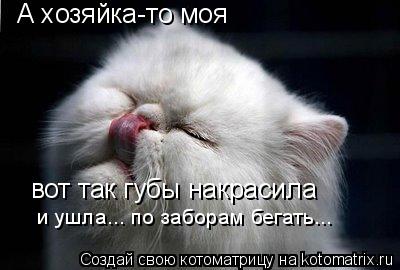 Котоматрица: А хозяйка-то моя вот так губы накрасила и ушла... по заборам бегать...