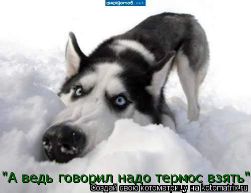 Котоматрица: "А ведь говорил надо термос взять"