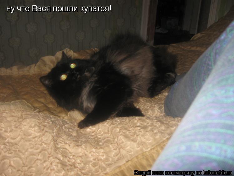 Котоматрица: ну что Вася пошли купатся!