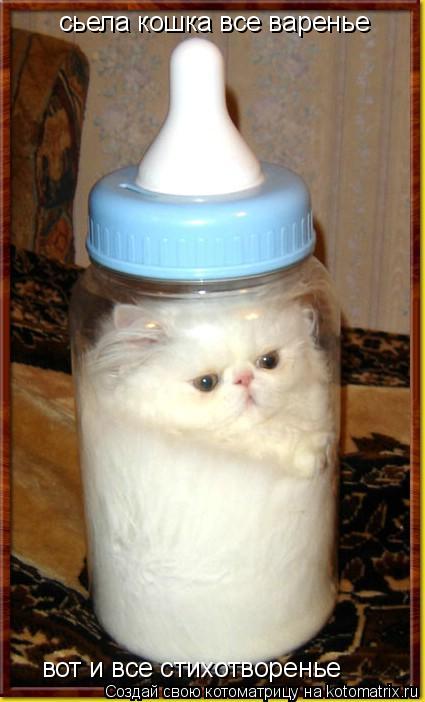 Котоматрица: сьела кошка все варенье вот и все стихотворенье