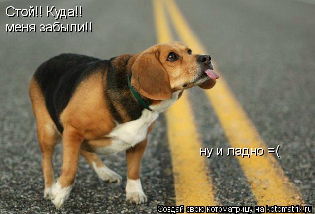 Котоматрица: Стой!! Куда!! меня забыли!! ну и ладно =(