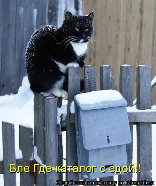 Котоматрица: Бле Где каталог с едой!!