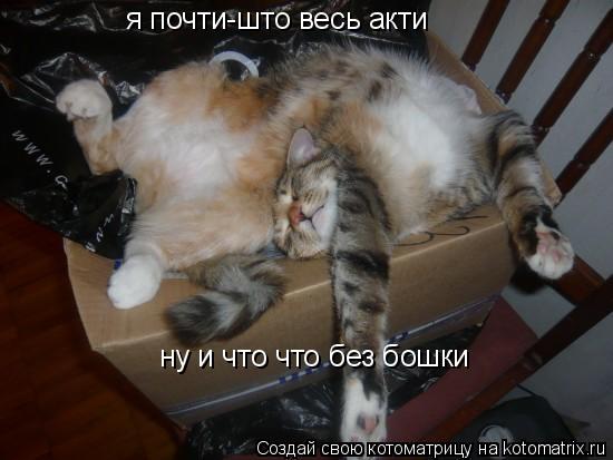 Котоматрица: я почти-што весь акти  ну и что что без бошки