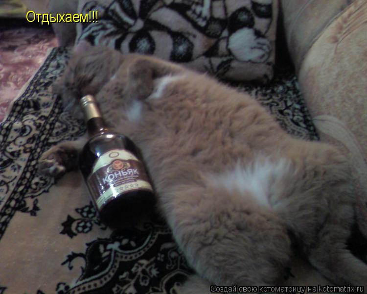 Котоматрица: Отдыхаем!!!