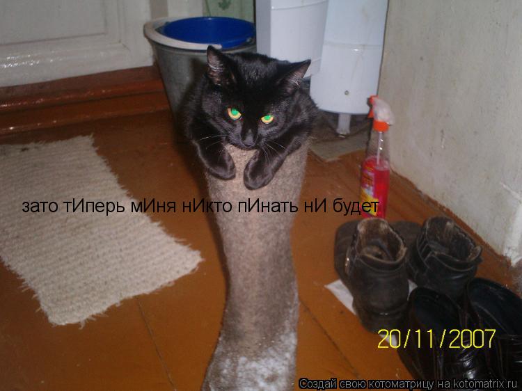 Котоматрица: зато тИперь мИня нИкто пИнать нИ будет