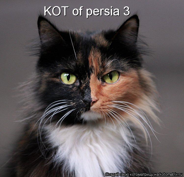 Котоматрица: KOT of persia 3