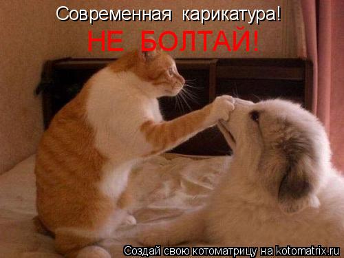 Котоматрица: Современная  карикатура! НЕ  БОЛТАЙ!