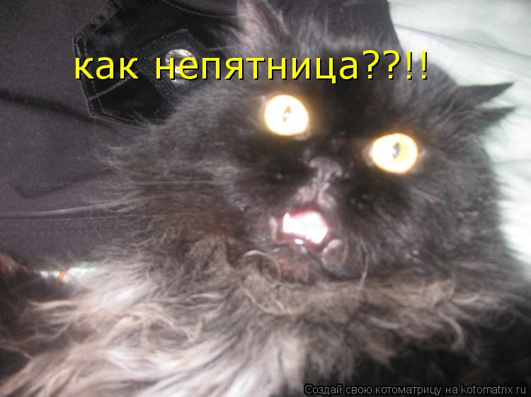 Котоматрица: как непятница??!!