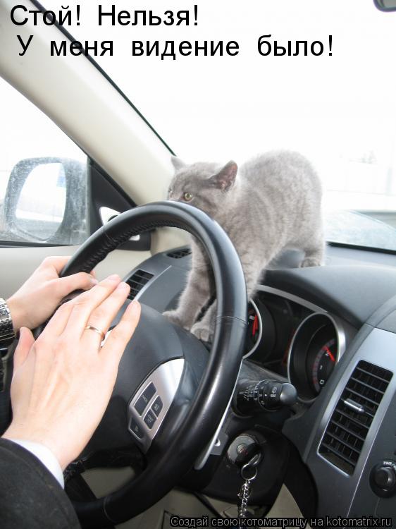 Котоматрица: Стой!  Нельзя! У  меня  видение  было!
