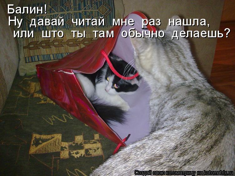 Котоматрица: Балин! Ну  давай  читай  мне  раз  нашла, или  што  ты  там  обычно  делаешь?