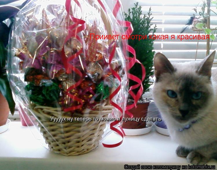 Котоматрица: Приивет смотри какая я красивая Ууууух ну теперь то можно и лужицу сделать