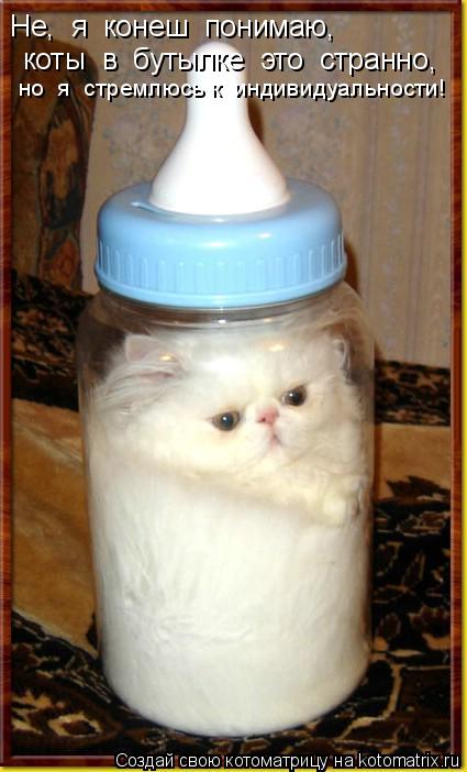 Котоматрица: Не,  я  конеш  понимаю, коты  в  бутылке  это  странно, но  я  стремлюсь к  индивидуальности!