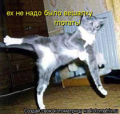 Котоматрица: ех не надо было вешалку глотать!