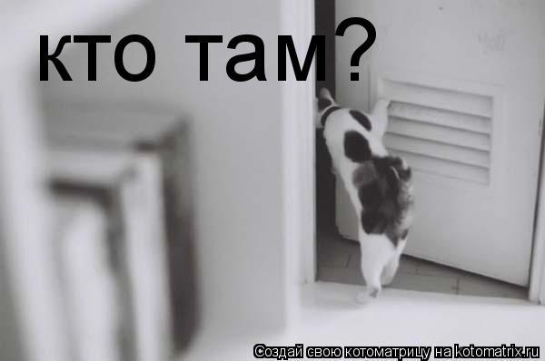 Котоматрица: кто там?