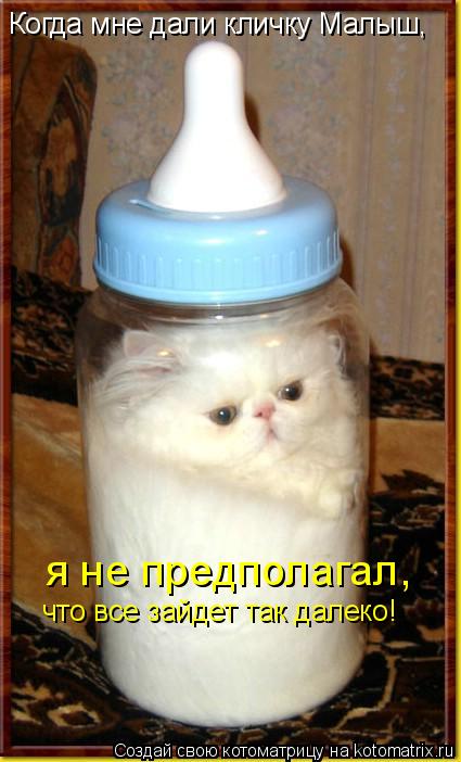 Котоматрица: Когда мне дали кличку Малыш, я не предполагал,  что все зайдет так далеко!
