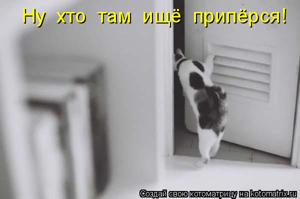 Котоматрица: Ну  хто  там  ищё  припёрся!