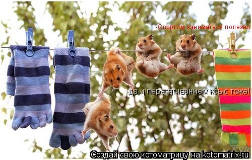 Котоматрица: -Спортом заниматься полезно -да и перетягиванием крыс тоже!!