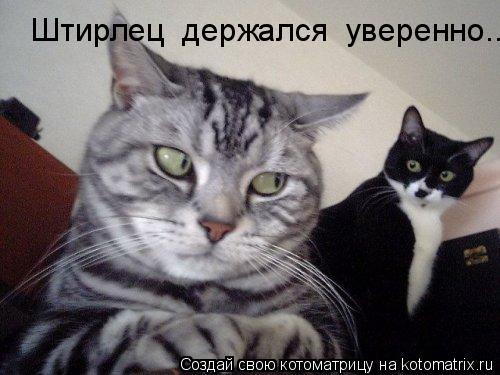 Котоматрица: Штирлец  держался  уверенно...