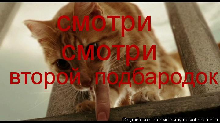 Котоматрица: смотри смотри второй  подбародок