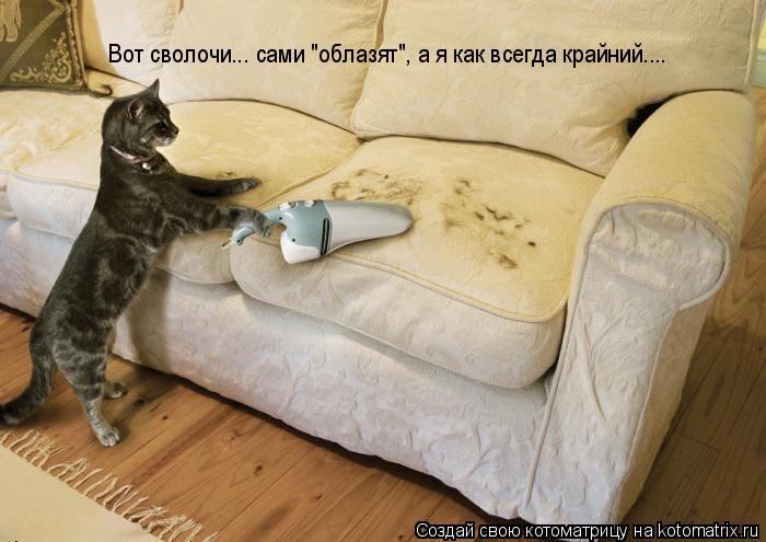 Котоматрица: Вот сволочи... сами "облазят", а я как всегда крайний....