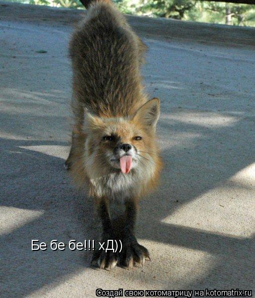 Котоматрица: Бе бе бе!!! хД))