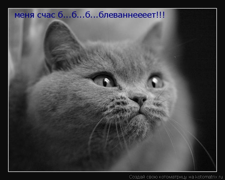 Котоматрица: меня счас б...б...б...блеваннеееет!!!