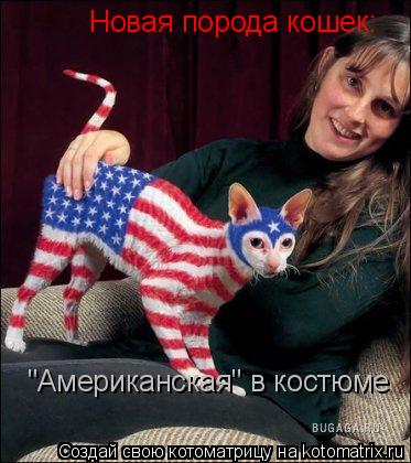 Котоматрица: Новая порода кошек: "Американская" в костюме