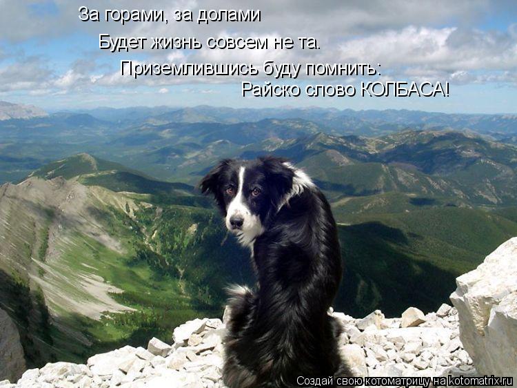 Котоматрица: За горами, за долами  Приземлившись буду помнить: Будет жизнь совсем не та. Райско слово КОЛБАСА!
