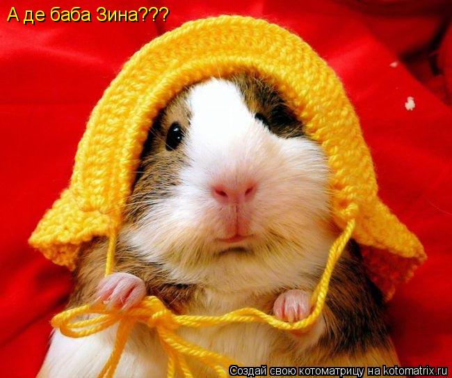 Котоматрица: А де баба Зина???