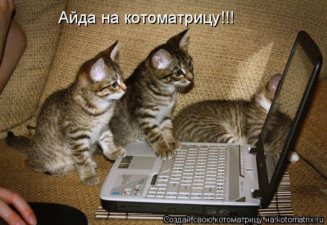 Котоматрица: Айда на котоматрицу!!!