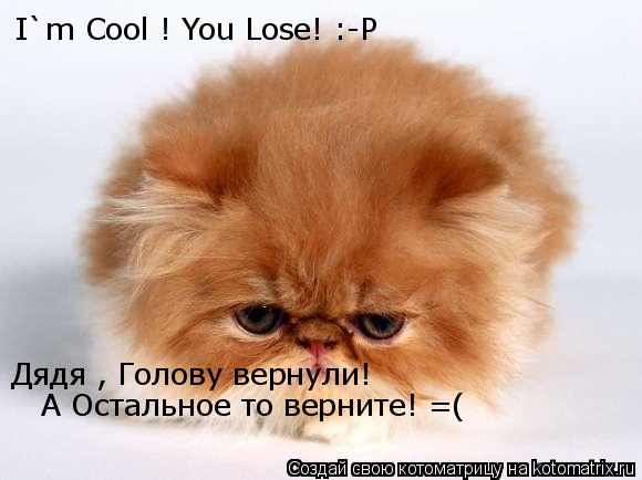 Котоматрица: I`m Cool ! You Lose! :-P Дядя , Голову вернули!  А Остальное то верните! =(