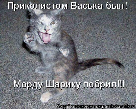 Котоматрица: Приколистом Васька был! Морду Шарику побрил!!!