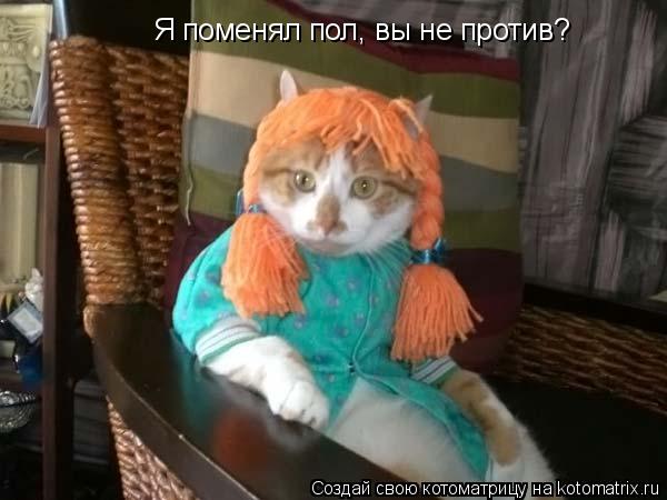 Котоматрица: Я поменял пол, вы не против?