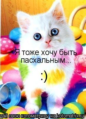 Котоматрица: Я тоже хочу быть пасхальным... :)