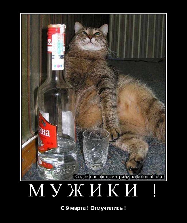 Мужики ! С 9 марта ! Отмучились !... Котоматрица: Мужики ! С 9 марта ! Отмучились !