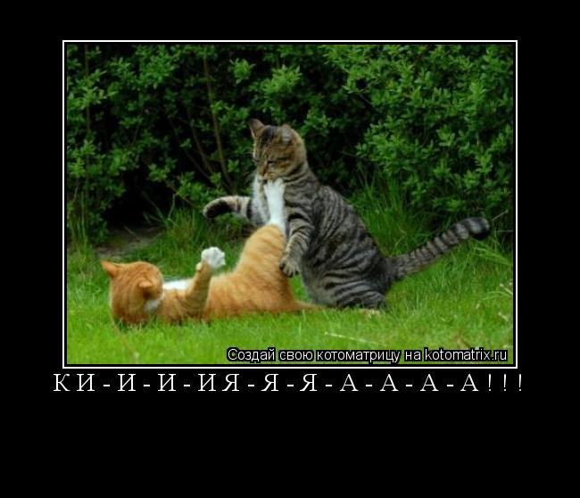 Котоматрица: КИ-И-И-ИЯ-Я-Я-А-А-А-А!!! 