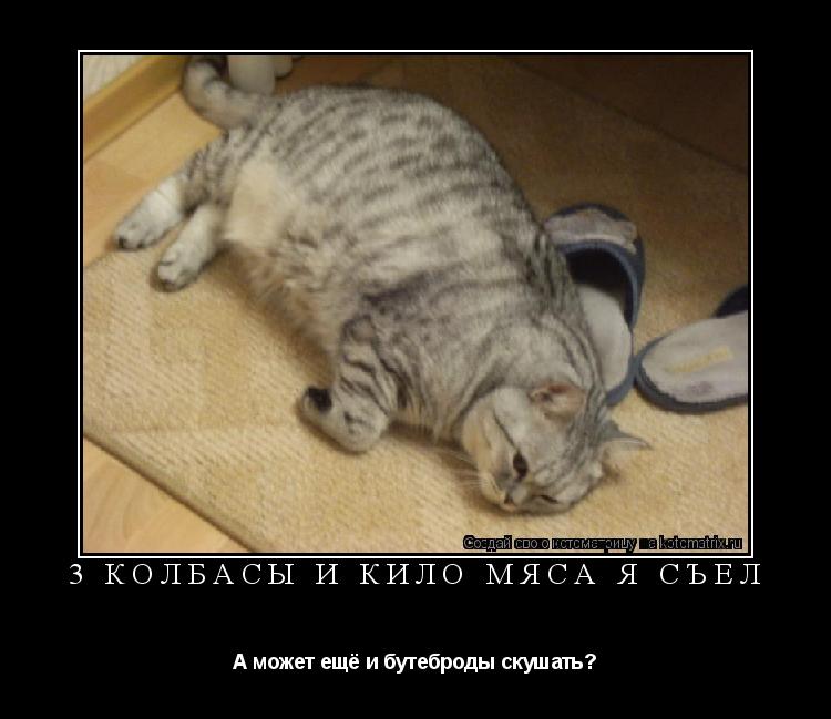 Котоматрица: 3 колбасы и кило мяса я съел А может ещё и бутеброды скушать?