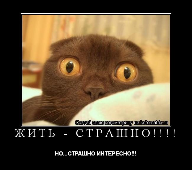 Котоматрица: ЖИТЬ - СТРАШНО!!!! НО...СТРАШНО ИНТЕРЕСНО!!!