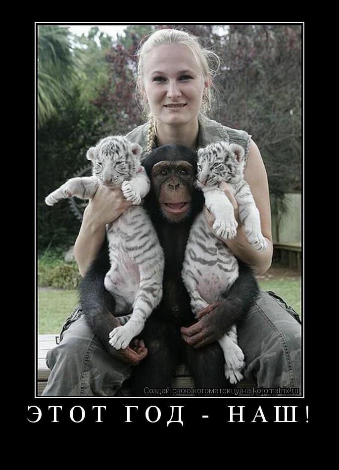 Котоматрица:   этот год - НАШ! 
